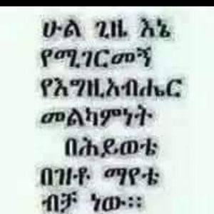 Meet your Posher, Netsanet